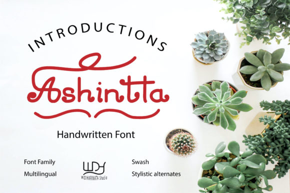 Ashintta: A Friendly Font for Campaigns